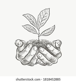 Hands And Plant Sketch Vector Illustration. Environment Protection, Business Concept