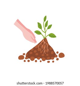 Ilustración vectorial de árboles de plantas de mano. Concepto ecológico natural. Ilustración de jardín con manos, plantas, hojas, suelo.