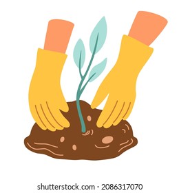 Hands plant. Young sprout, plant care, hands in gloves. Floristry and gardening. Plant and transplant seedlings, growing vegetables in the garden. Flat cartoon vector illustration