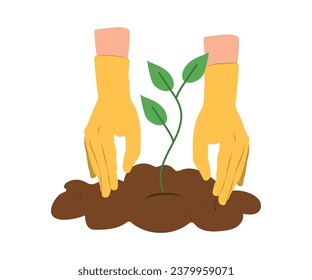 Hands plant. Young sprout, plant care, hands in gloves. Floristry and gardening. Plant and transplant seedlings, growing vegetables in the garden. Flat cartoon vector illustration