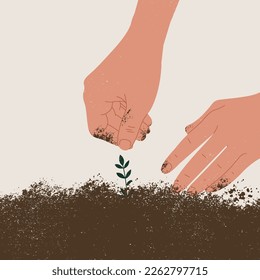 Hands planting a herb in a soil. Work in a vegetable garden. Vector illustration