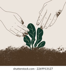 Manos plantando una hierba en un suelo. Trabajar en un jardín. Ilustración del vector abstracto