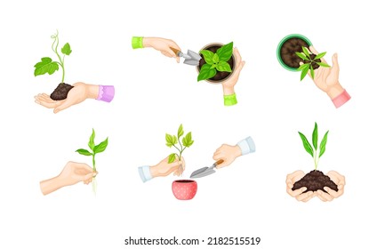 Plantar plántulas en el suelo. Jardinería, ecología, protección del medio ambiente ilustración vectorial