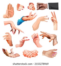 Hands poses. Female and male hand holding and pointing gestures, fingers crossed, fist, peace and thumb up. Cartoon human palms and wrist vector set. Communication or talking with emoji for messengers