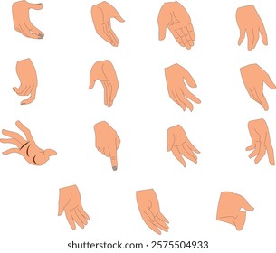 Hands poses. hand holding and pointing gestures, fingers crossed, fist, peace and thumb up. 