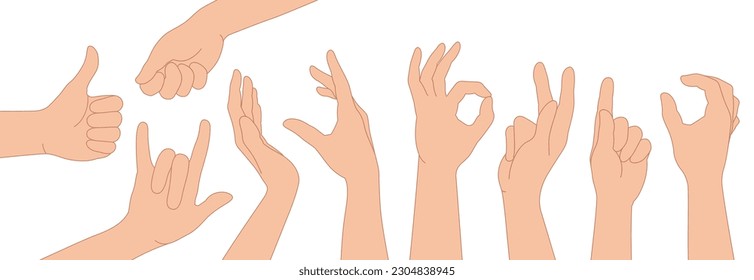 Hands poses. Male hand holding and pointing gestures, and other gestures like thumb up. Cartoon human palms and arms vector set