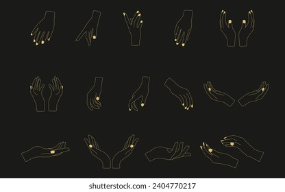 Hands poses. Set of different female hands poses. 