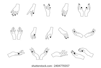 Hands poses. Set of different female hands poses. 