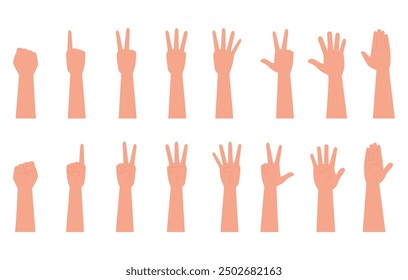 Hands poses. SET of hand gestures isolated over the white background. Various gestures of hands. Hands facing down and hands facing up. Vector illustration flat design style