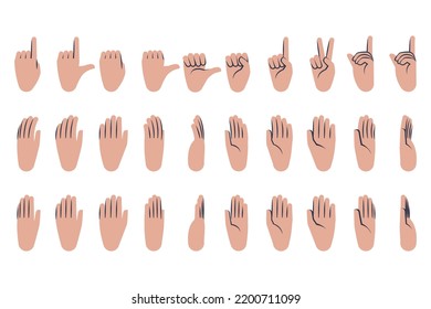 Hands poses set. Rotation at different angles. Vector illustration.