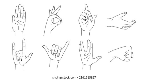 Hands Poses Vector Set Various Hand Stock Vector (Royalty Free ...