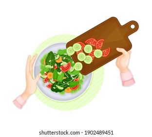 Hands Preparing Vegetable Salad Putting Chopped Ingredient in Bowl Above View Vector Illustration