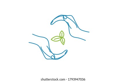 Hands protecting the plant. Line drawing vector illustration.