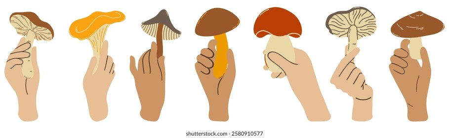 Hands raised and holding forest edible mushrooms (boletus, porcini mushrooms) - vector illustration. Collection and preparation of mushrooms.