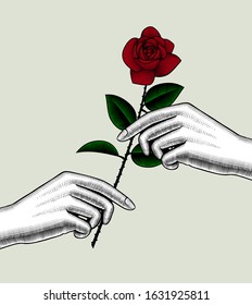 Hands with a red rose. Retro style valentine greeting card design. Vintage engraving stylized drawing. Vector illustration
