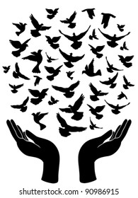 hands releasing peace pigeon