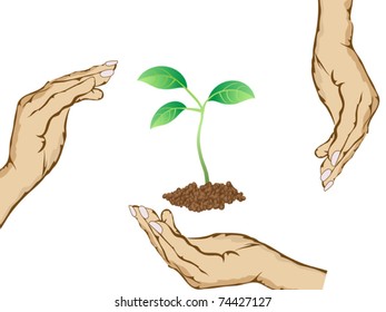 hands round the green plant