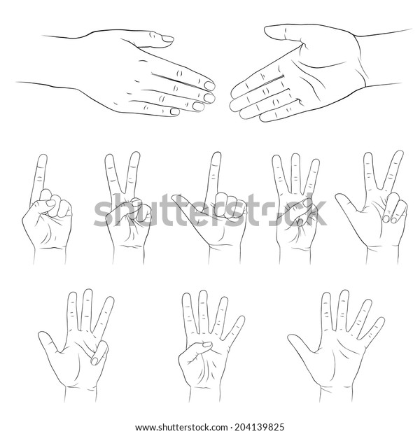 Hands Set Count Vector Illustration Isolated Stock Vector (royalty Free 