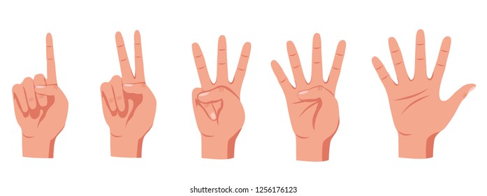 hands set, different number gestures, isolated on white background vector