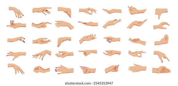 Hands Set in Various Poses on White Background. Vector illustration