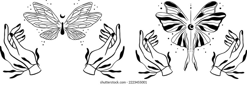 Hands silhouette with plants, leafe, moon and butterflies. Vector illustration