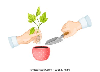 Hands with Spade Cultivating Plant and Soil in Flower Pot Vector Illustration