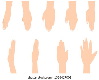 Hands in various gestures. Flat design modern vector illustration concept