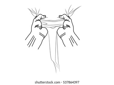 Hands Vector Illustration