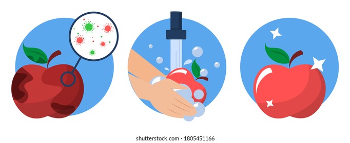 Hands washing dirty apple and it becomes clean vector isolated. Idea of health and hygiene. Cleaning food from bacterium, protection from the virus disease.