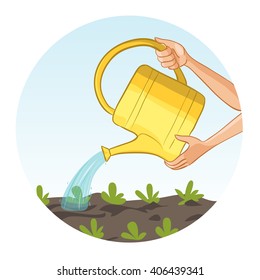 Hands watering with can a bed in garden, vector image, eps10