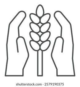 Hands with wheat grain plant thin line icon, wheat production concept. Vector graphics. Ear of wheat in hands sign on white background, outline style icon for mobile or web design