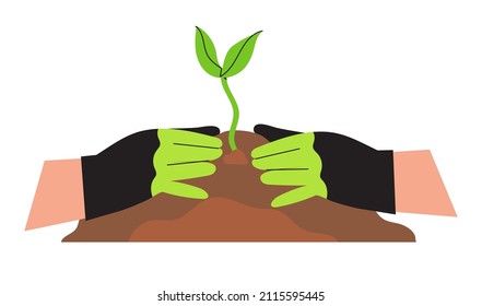 Hands working or arranging garden and planting. Spring season vegetables, herbs, flower or greenary planting. Character put or transplant sprout into the ground. Farmer gardening or agriculture hobby.