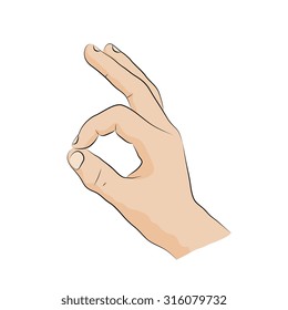 Hand-sign language. Ok.sign isolated on white background. 
