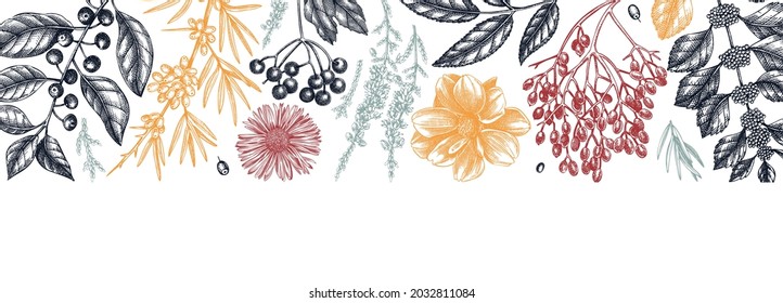 Hand-sketched autumn banner. Elegant botanical design with autumn leaves, berries, flowers sketches. Perfect for invitation, cards, flyers, menu, label, banner, packaging. Vintage floral template.