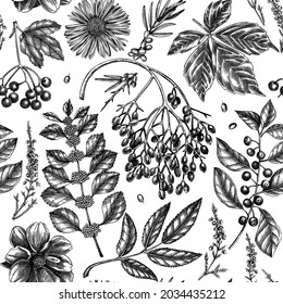 Handskizziertes nahtloses Herbstmuster. Eleganter botanischer Hintergrund mit Herbstblättern, Beeren, Blumenskizzen. Perfekt für die Verpackung von Papier, Textilien, Verpackungen. Herbstsaison in der Botanik-Kulisse. 