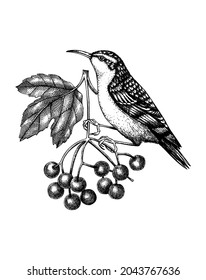 Hand-sketched bird with autumn flowers illustration. Fall design with birds, florals, geometric shapes, and abstract elements. Can be used for print, poster, flyer, wall art, social media