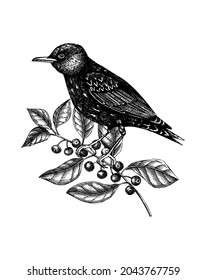Hand-sketched bird with autumn flowers illustration. Fall design with birds, florals, geometric shapes, and abstract elements. Can be used for print, poster, flyer, wall art, social media