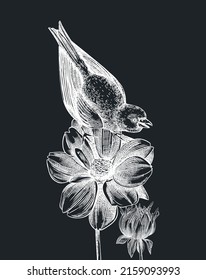 Hand-sketched bird with autumn flowers illustration on chalkboard. Fall design with birds, florals, geometric shapes, and abstract elements. Can be used for print, poster, wall art, social media