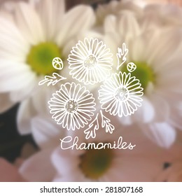 Handsketched bouquet of chrysanthemums on blurred background. Floral label. Suitable for ads, signboards, identity and wedding designs