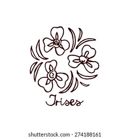 Handsketched bouquet of irises.  Floral label.  Suitable for ads, signboards, identity and wedding designs