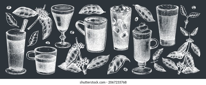 Kollektion von handgezeichneten Kaffeeillustrationen auf der Tafel. Vektorskizzen von Bechern mit aromatischen Coffein-Getränken. Botanische Kaffeepflanzen, Blätter und Bohnen im Vintage-Stil. Vektorgetränk-Set