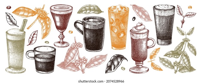 Hand-sketched coffee illustrations collection. Vector sketches of glasses and mugs with aromatic drinks. Botanical coffee plants, leaves and beans in vintage style. Vector beverages set in color.