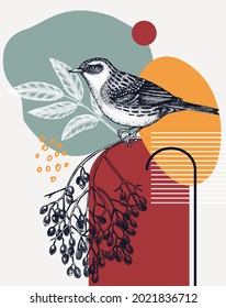 Ilustración vectorial Dunnock esbozada a mano. Pájaro perchador en la rama de la anciana. Ilustración de estilo de conjunto con formas geométricas y elementos abstractos. Pájaro creativo para impresión, afiche, diseño de tarjeta