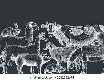 Hand-sketched farm animals vector banner on chalkboard. Cow, lama, donkey, goat, rabbit, sheep and other vintage animals. Farm hand-drawings perfect for label, icon, packaging, banners, books.