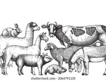 Hand-sketched farm animals vector banner. Cow, lama, donkey, goat, rabbit, sheep and other vintage animals on white background. Farm hand-drawings perfect for label, icon, packaging, banners, books.