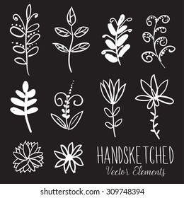 Handsketched floral elements