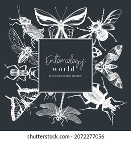 Hand-sketched insect wreath template. Hand-drawn beetles, bugs, butterflies, dragonflies, cicada, moths, bee illustrations in vintage style. Entomological frame vector design. On chalkboard background