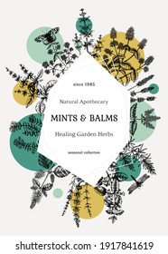 Hand-sketched Mints and Balms trendy design. Mints plants and insects illustration in collage style. Medicinal herbs and summer flowers background with geometric elements. Herbal tea ingredients