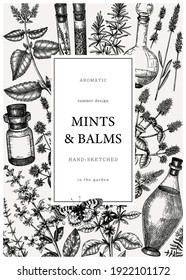 Hand-sketched perfumery and cosmetics ingredients card. Decorative background with vintage mints, balms, herbs, and bottles. Aromatic materials design template in engraved style.