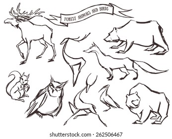 Handsketched set of forest animals and birds. Into the woods. Nature illustration
